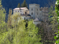 Schloss Weißenstein